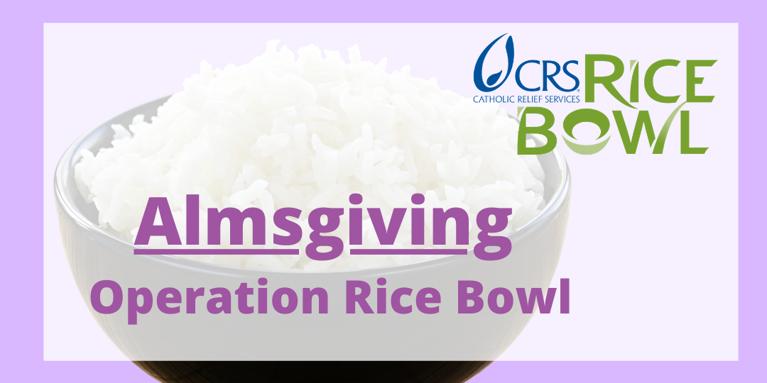 Turn In Rice Bowl Donations Before Palm Sunday March 28 Immaculate